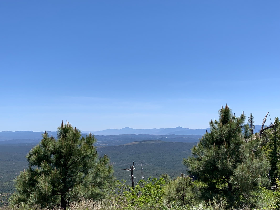 A photo of the view looking out from the Mogollon Rim. In the foreground is the edge of the cliff covered in brush, including the tops of a few pines growing from just below. The forest stretches into the distance and there are mountains on the horizon. There’s a scattering of white specks indicating a small town in the distance. The sky is a soft blue that darkens towards the top and no clouds. 