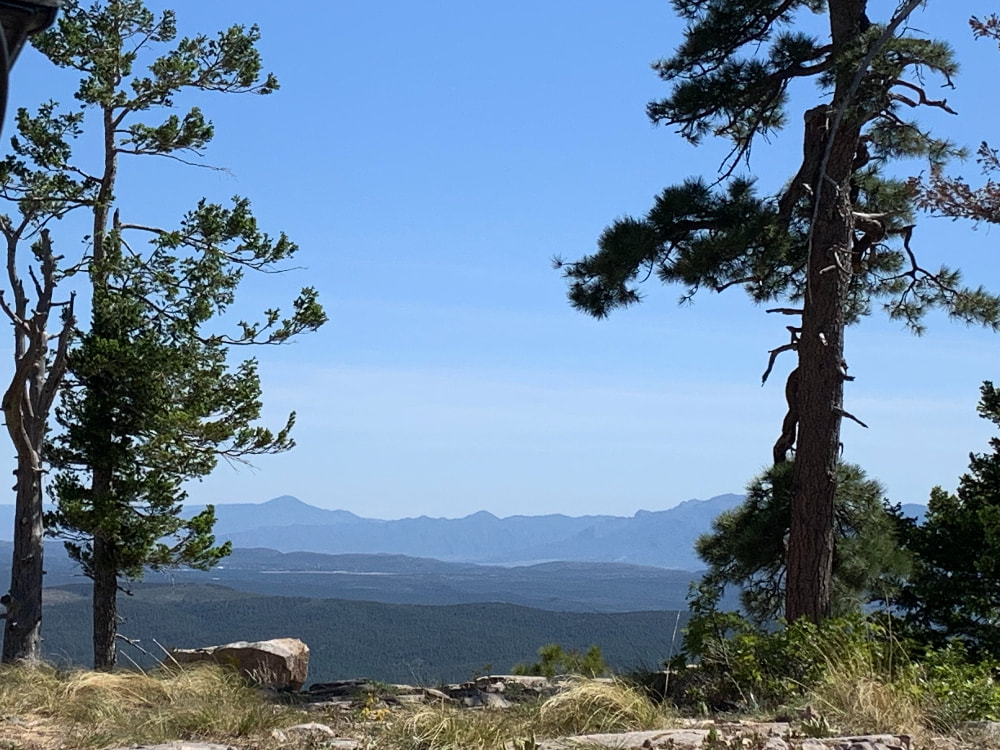 A photo of the view looking out from the Mogollon Rim. In the foreground is a rocky area with windswept grass and brush in clumps. Shadows from the trees are dappled about. Above that are a handful of trees on the edge of the rim and the mountains receding in shades of green and blue into the distance. There's a soft blue sky that darkens towards the top and no clouds. 